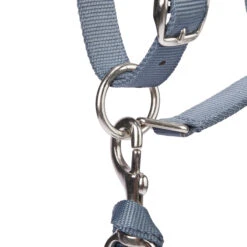 Horse Riding Halter + Leadrope Set - Nubuck/Blue -Weatherbeeta Sales Store k9d4319e5dd608b0c019e5162b6e79c4e