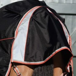 Weatherbeeta Comfitec Premier Therapy Tec Detachable Neck Horse Turnout Rug -Weatherbeeta Sales Store ka1d26b2665f492e5cacae6527c6de5be