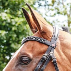 Lynton Flash Bridle With X2 Browbands -Weatherbeeta Sales Store ka24300b27575ee022058691576cb5ddb