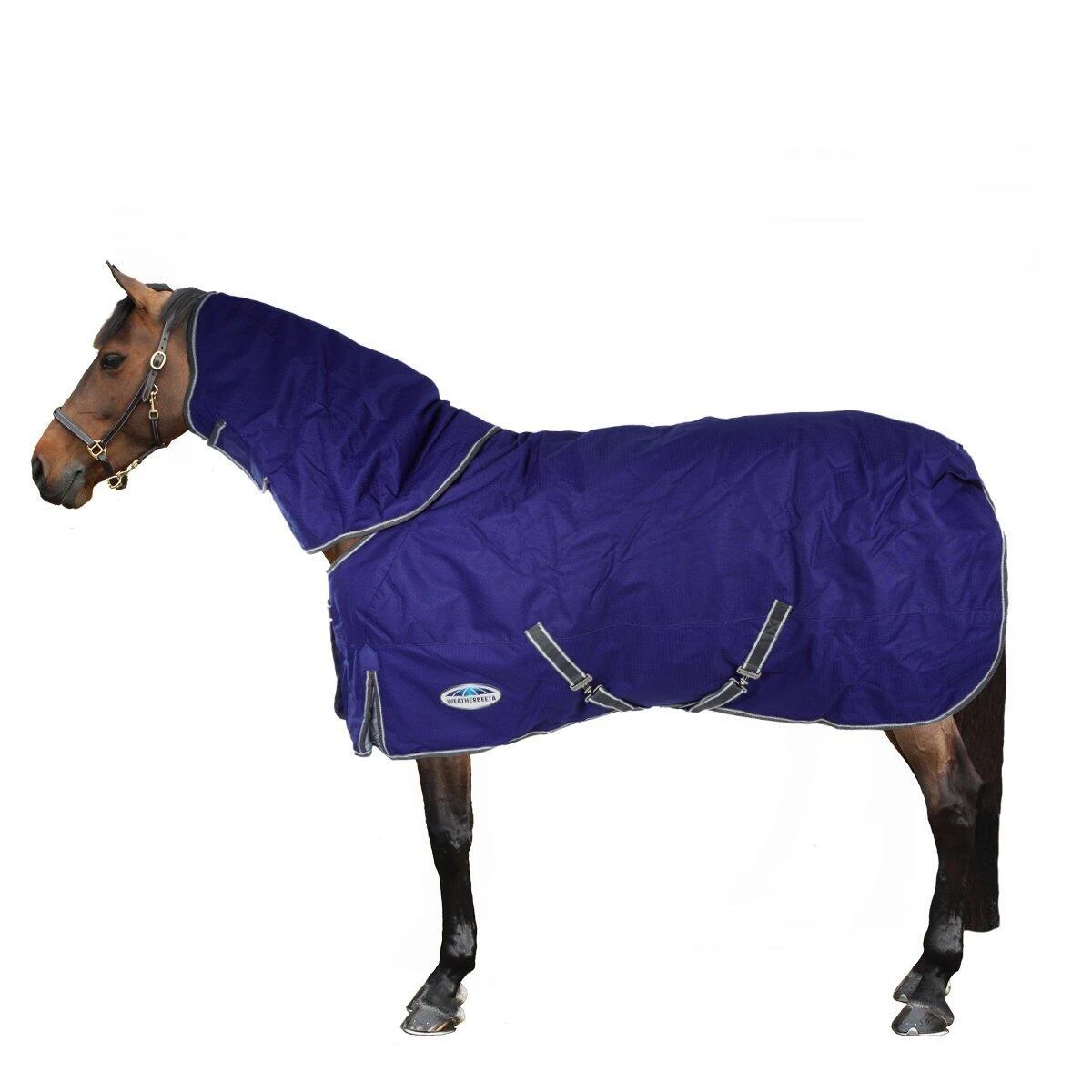 Weatherbeeta Comfitec Premier Free II Detachable Neck Medium Lightweight Horse Turnout Rug 1 Weatherbeeta Comfitec Premier Free II Detachable Neck Medium Lightweight Horse Turnout Rug