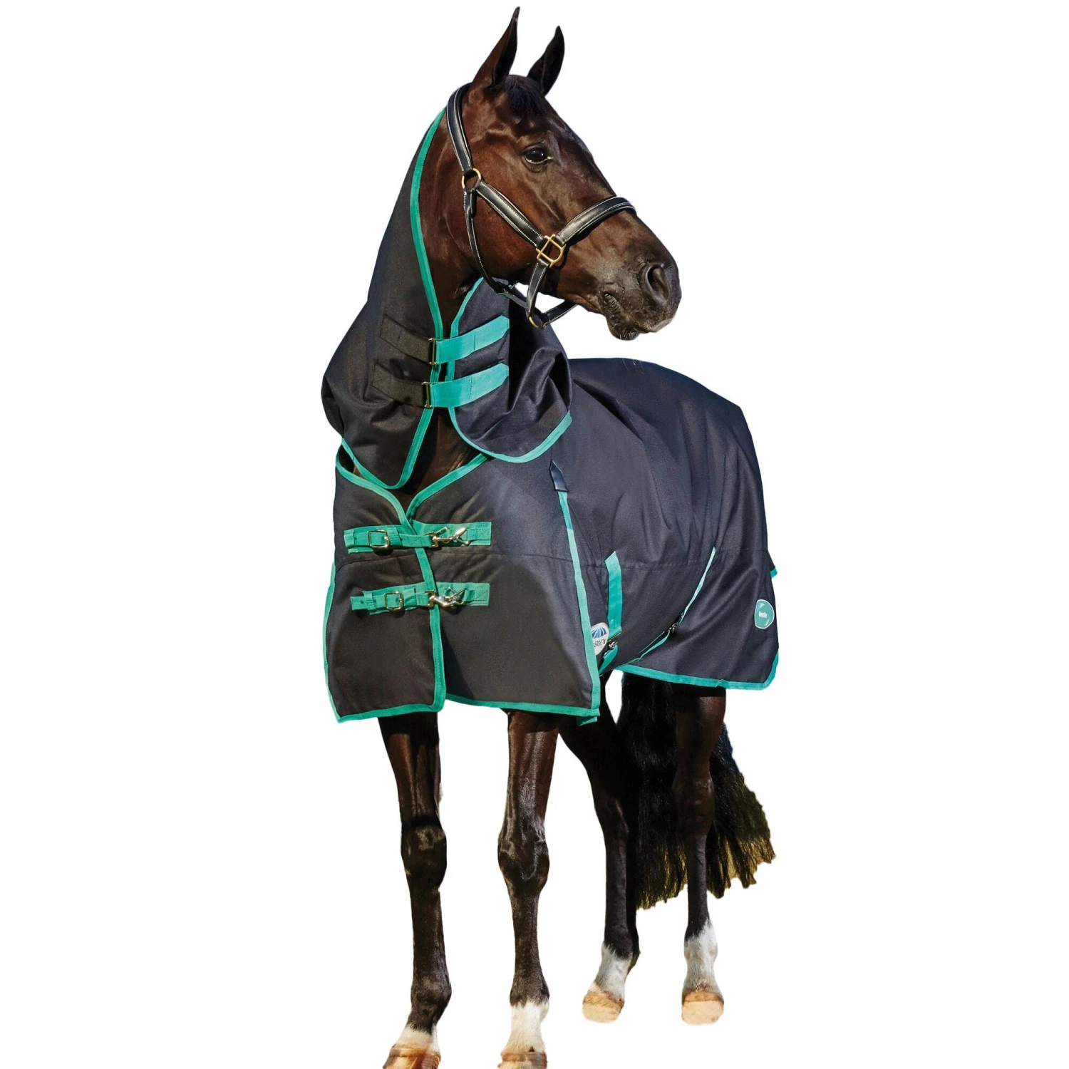 Weatherbeeta GreenTec Detachable Neck Heavyweight Horse Turnout Rug (Black/Bottle Green) 1 Weatherbeeta GreenTec Detachable Neck Heavyweight Horse Turnout Rug (Black/Bottle Green)