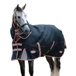 Weatherbeeta Comfitec Premier Plus Detachable Neck TherapyTec Lightweight Horse Turnout Rug