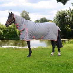 Storm X Combo Turnout Rug 300g