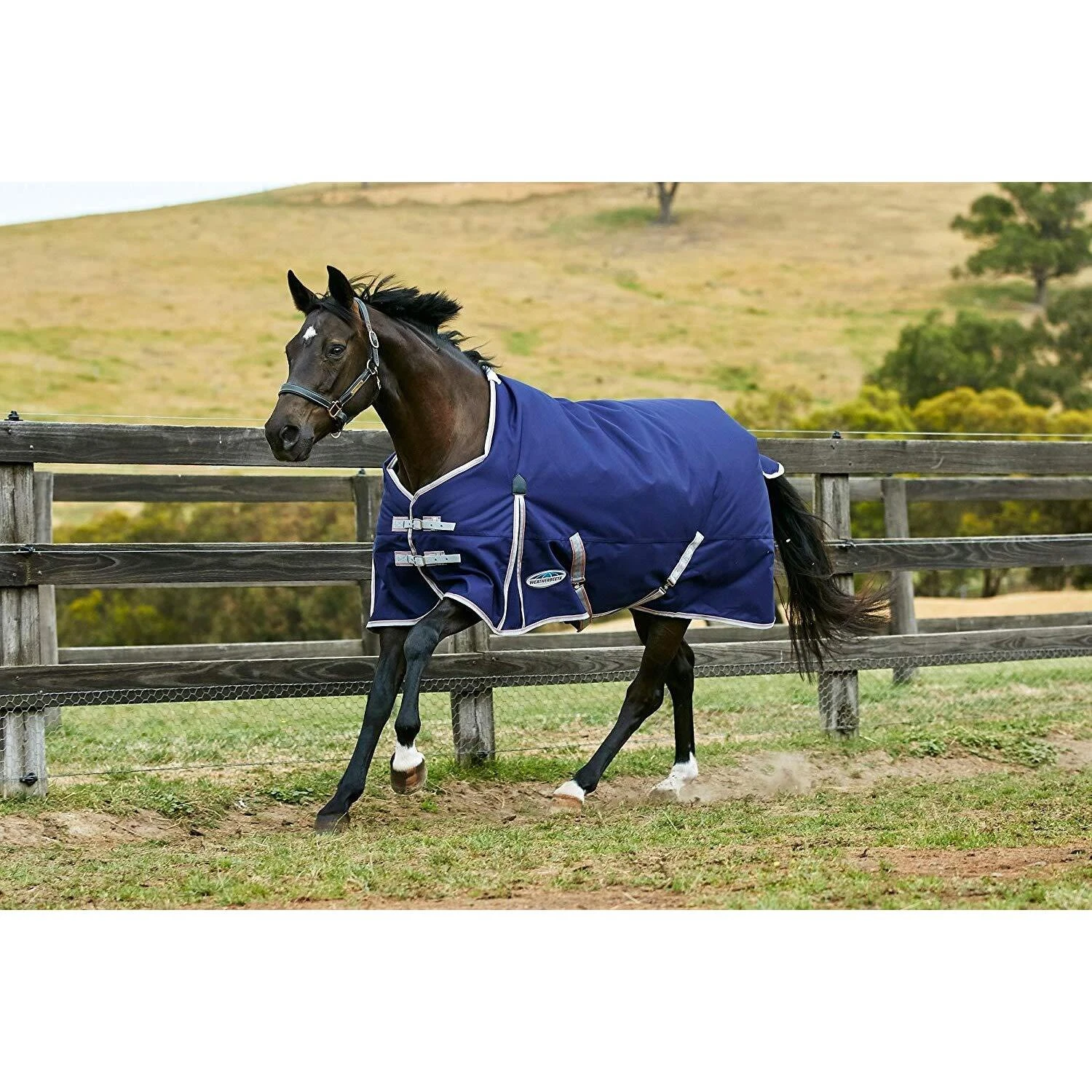 Weatherbeeta Comfitec Lite Essential Standard Neck Turnout Rug (Navy/Silver/Red) 2 Weatherbeeta Comfitec Lite Essential Standard Neck Turnout Rug (Navy/Silver/Red) - Image 2