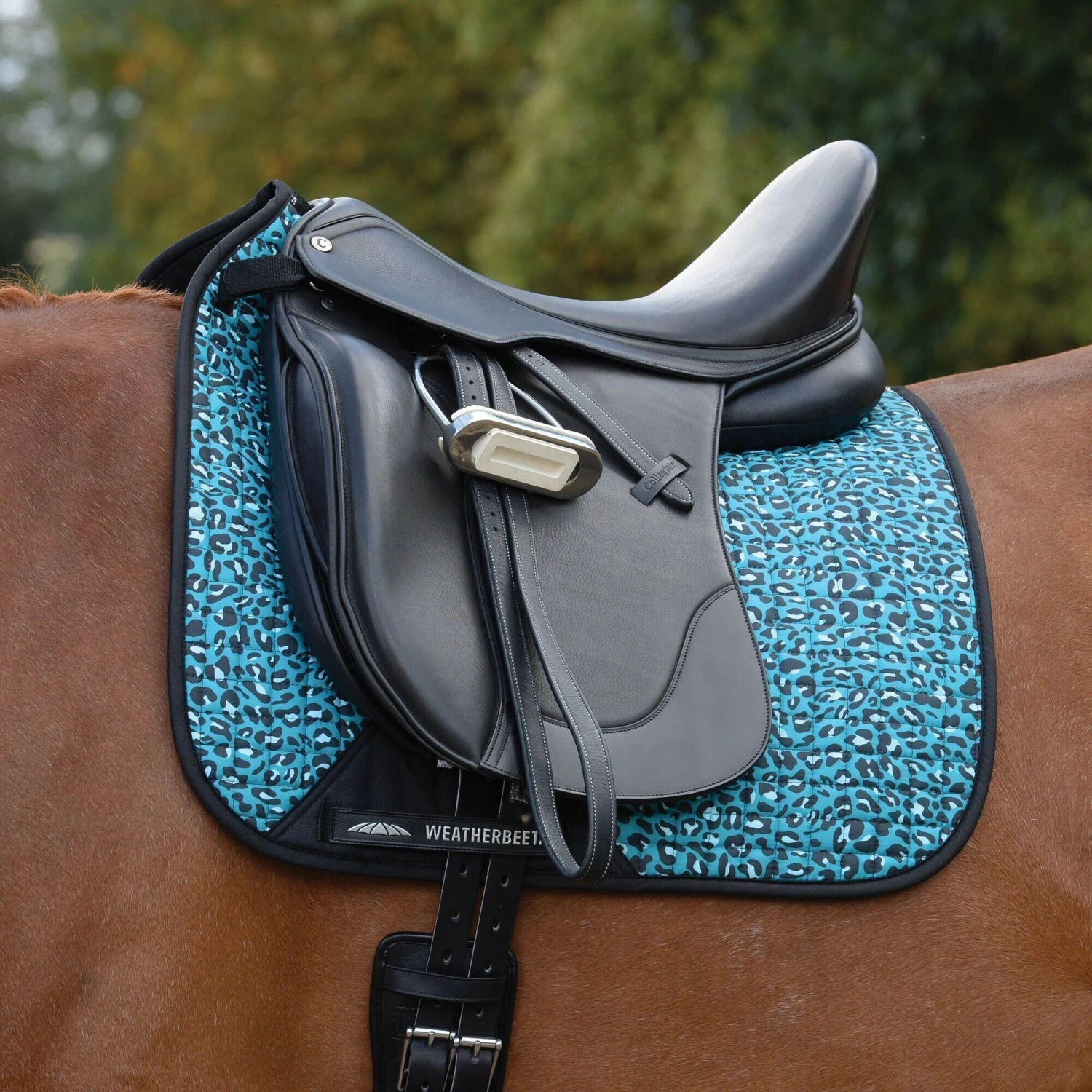 Weatherbeeta Prime Leopard Print Horse Dressage Saddlepad (Turquoise/Black) 3 Weatherbeeta Prime Leopard Print Horse Dressage Saddlepad (Turquoise/Black) - Image 3
