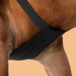 Horse Riding Shoulder Guard For Horse & Pony -Weatherbeeta Sales Store kb229e4268fece8c0278de78334d846af