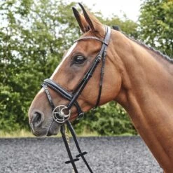 Barton Bling Flash Bridle With Rubber Reins -Weatherbeeta Sales Store kb273a813573699ccd91c9b5890e276c5