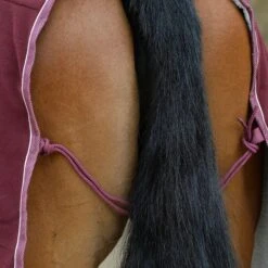 Weatherbeeta StandardNeck Sherpa Fleece Horse Cooler Rug (Maroon/White) 10 Weatherbeeta StandardNeck Sherpa Fleece Horse Cooler Rug (Maroon/White) -Weatherbeeta Sales Store kb31b8102e3c88c079802415a76c208bb