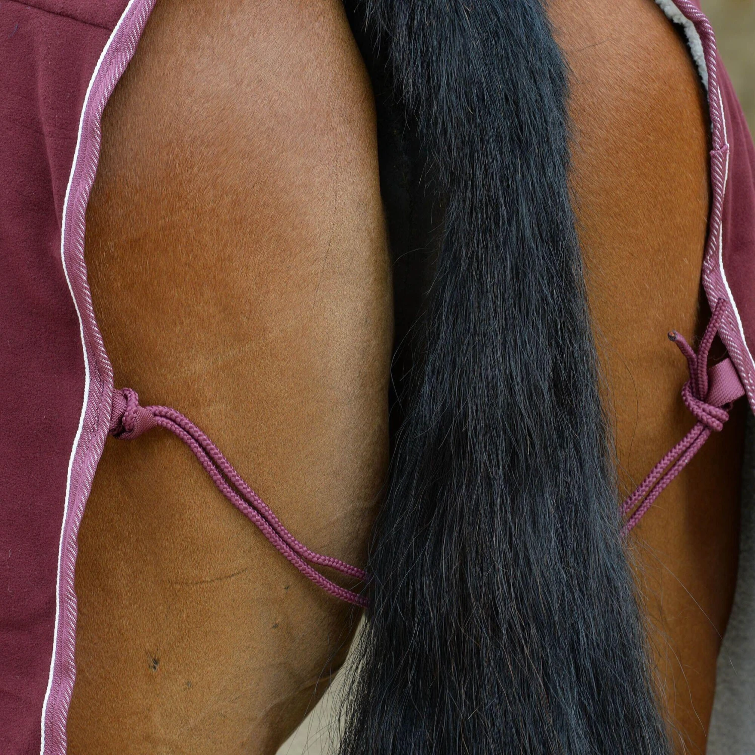 Weatherbeeta StandardNeck Sherpa Fleece Horse Cooler Rug (Maroon/White) 3 Weatherbeeta StandardNeck Sherpa Fleece Horse Cooler Rug (Maroon/White) - Image 3