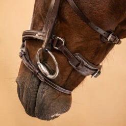 Horse Riding Leather Bridle With French Noseband For Horse & Pony 900 37 Horse Riding Leather Bridle With French Noseband For Horse & Pony 900 -Weatherbeeta Sales Store kb642adbc3767a588ed84322330f71656