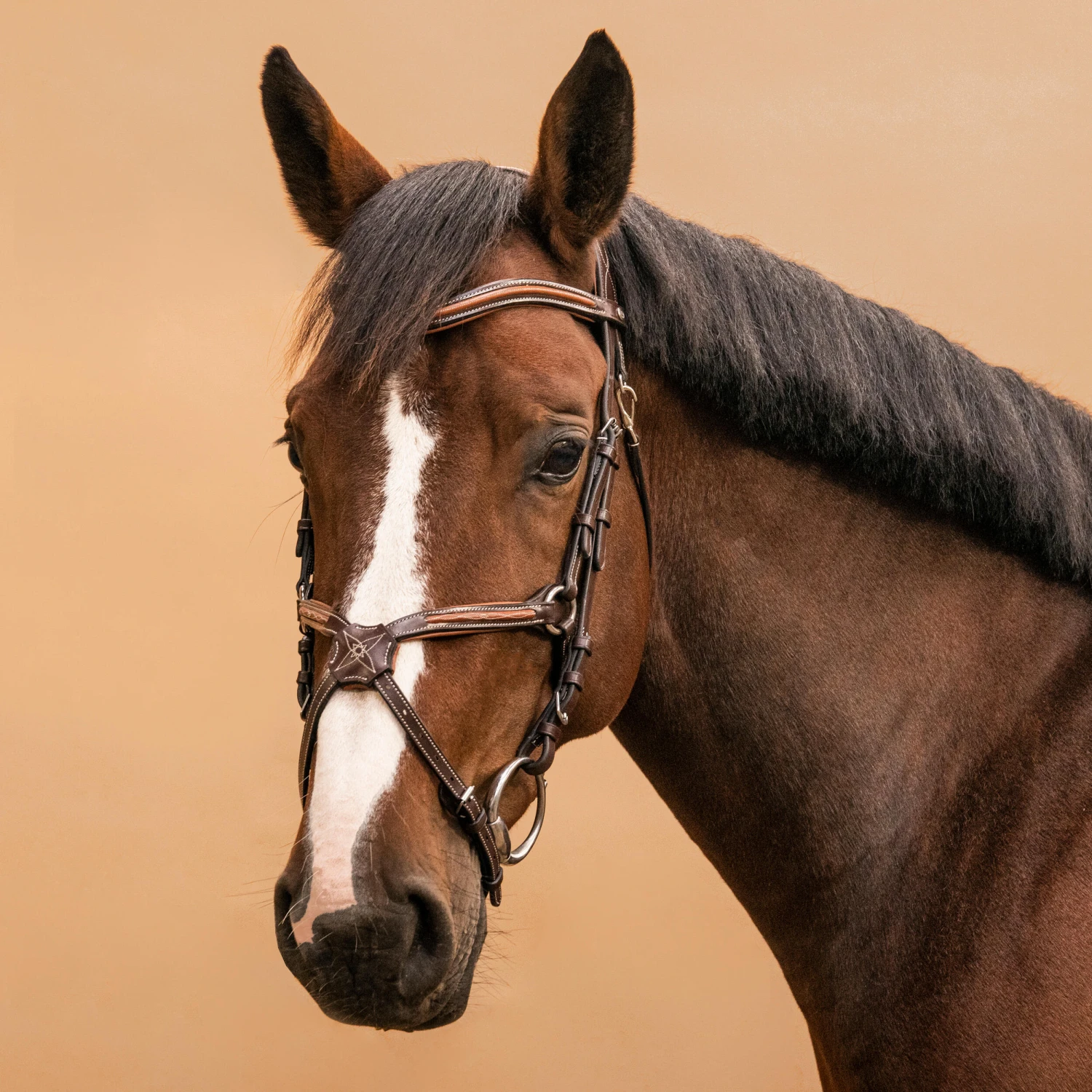 Horse Riding Crossed-Noseband Leather Bridle For Horse And Pony 580 10 Horse Riding Crossed-Noseband Leather Bridle For Horse And Pony 580 - Image 10
