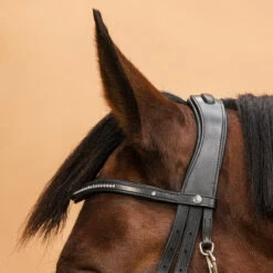 Horse Riding Crossed-Noseband Leather Bridle For Horse And Pony 580 20 Horse Riding Crossed-Noseband Leather Bridle For Horse And Pony 580 -Weatherbeeta Sales Store kb80242afe7c03490b619adf4f3e149f6