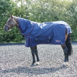 Rastrick 250G Combo Turnout Rug 8 Rastrick 250G Combo Turnout Rug -Weatherbeeta Sales Store kbbb3f6b94d98c701bb96dd85708e59b3