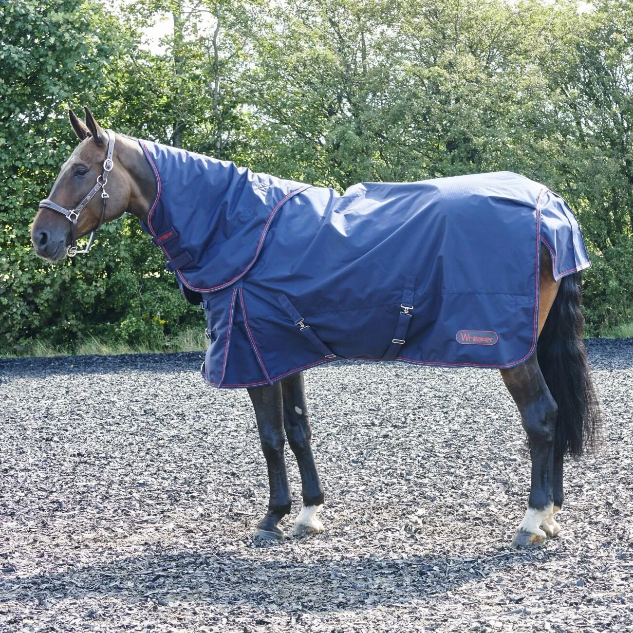 Rastrick 250G Combo Turnout Rug 4 Rastrick 250G Combo Turnout Rug - Image 4