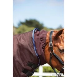 Weatherbeeta Comfitec Medium Ultra Cozi Detachaneck Turnout Rug (Charcoal/Blue/White) -Weatherbeeta Sales Store kbd62686a00ea45e2de2e46540b3e24f5