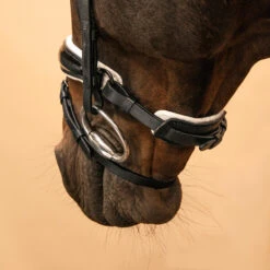 Horse & Pony Dressage Bridle 900 -Weatherbeeta Sales Store kbe41bda51658bc0984bd802e65e454a2