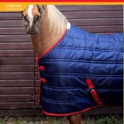 Thomas 250G Stable Rug -Weatherbeeta Sales Store kbf5cdd2a443f801927c58bb471efedcc