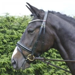 Barton Bling Flash Bridle With Rubber Reins -Weatherbeeta Sales Store kbf93e2d0ca30850773fe984d6a8119dc