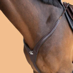 Horse And Pony Riding 3-Point Hunting Martingale -Weatherbeeta Sales Store kc1003bb57ba042d10a4cecf2faa0e140