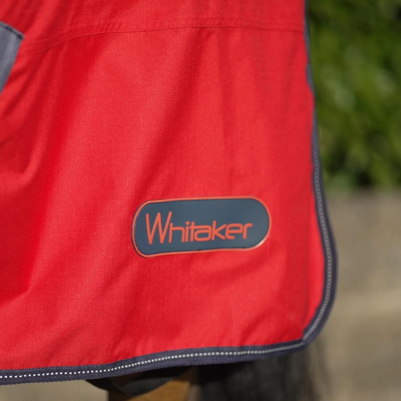 Rastrick 100g Lightweight Turnout Rug 2 Rastrick 100g Lightweight Turnout Rug - Image 2