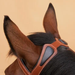 Horse Riding Leather Bridle With French Noseband For Horse & Pony 900 26 Horse Riding Leather Bridle With French Noseband For Horse & Pony 900 -Weatherbeeta Sales Store kc1b44ffab3f9f11cbf26f81fbe01ca83