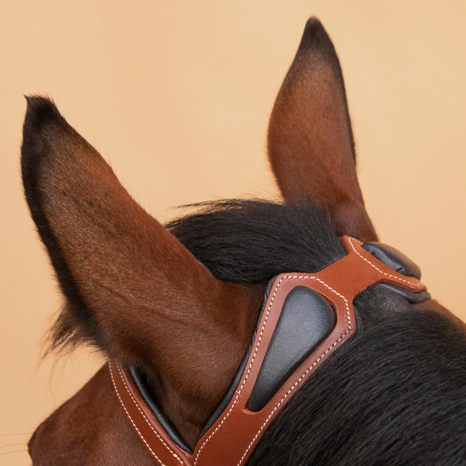 Horse Riding Leather Bridle With French Noseband For Horse & Pony 900 8 Horse Riding Leather Bridle With French Noseband For Horse & Pony 900 - Image 8