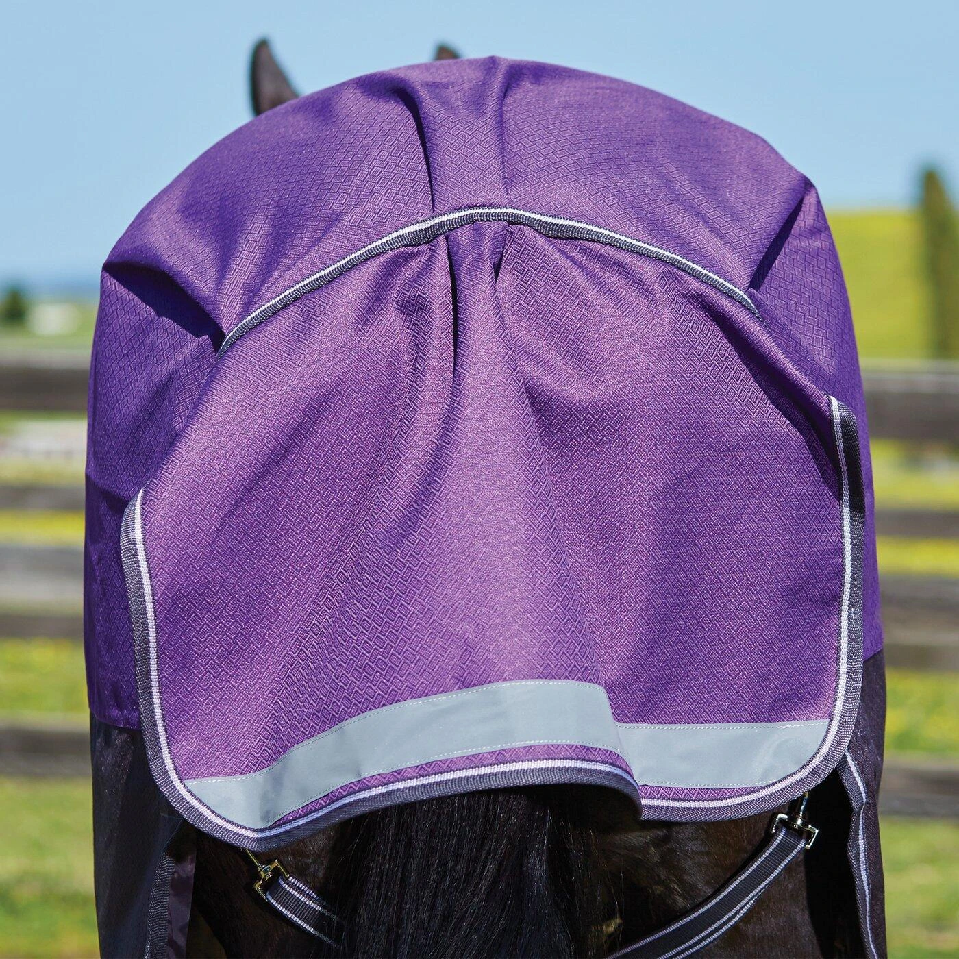 Weatherbeeta Comfitec Lite Plus Dynamic DetachANeck Turnout Rug (Purple/Black) 2 Weatherbeeta Comfitec Lite Plus Dynamic DetachANeck Turnout Rug (Purple/Black) - Image 2
