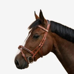 Horse Riding Leather Bridle With French Noseband For Horse & Pony 900 22 Horse Riding Leather Bridle With French Noseband For Horse & Pony 900 -Weatherbeeta Sales Store kc3b4c0749e70b67c2b36c99316449d9d