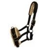 Fleece Lined Horse Lunge Cavesson (Black)