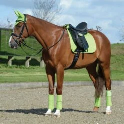 Weatherbeeta Prime Horse Dressage Saddlepad (Lime Green) 7 Weatherbeeta Prime Horse Dressage Saddlepad (Lime Green) -Weatherbeeta Sales Store kc481211f0da82e07fc475544061ddd59