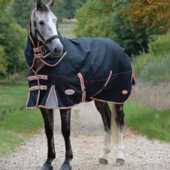 Weatherbeeta Comfitec Premier Therapy Tec Detachaneck Medium Turnout Rug (Black/Silver/Red) -Weatherbeeta Sales Store kc85b9b8aed518eaa9447ba1bcfc36b5f
