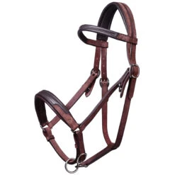 Trail Horse Riding Bridle / Halter And Reins Escape - Brown -Weatherbeeta Sales Store kcaf514b8264a8675ad8a9265f64dc504