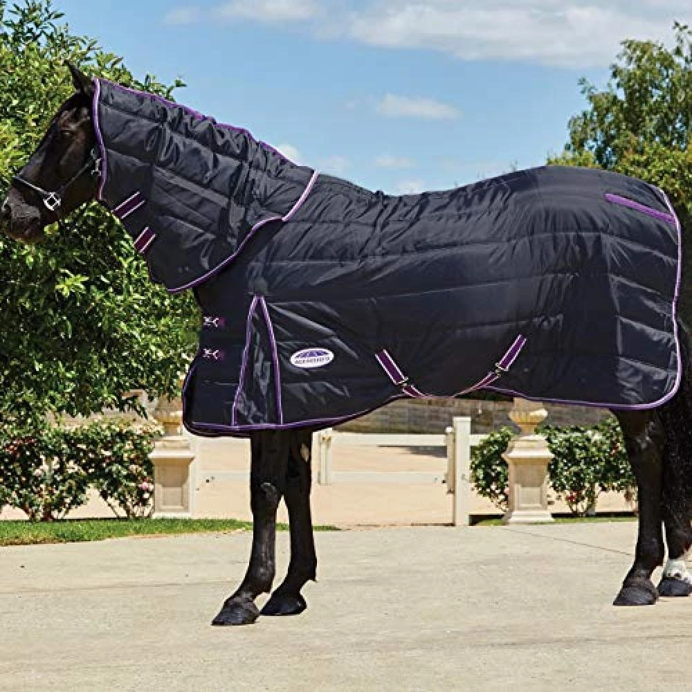 Weatherbeeta Comfitec Medium PP Channel Quilt Detachaneck Stable Rug (Black/Purple) 2 Weatherbeeta Comfitec Medium PP Channel Quilt Detachaneck Stable Rug (Black/Purple) - Image 2