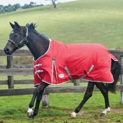 Weatherbeeta Comfitec Classic Medium Lite StandardNeck Horse Turnout Rug (Red/Silver) -Weatherbeeta Sales Store kcda4bcc72fa72636a9006d3ae8808bb4
