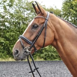 Barton Bling Flash Bridle With Rubber Reins -Weatherbeeta Sales Store kce8e628a10469b08103c1ad463a6a9bb