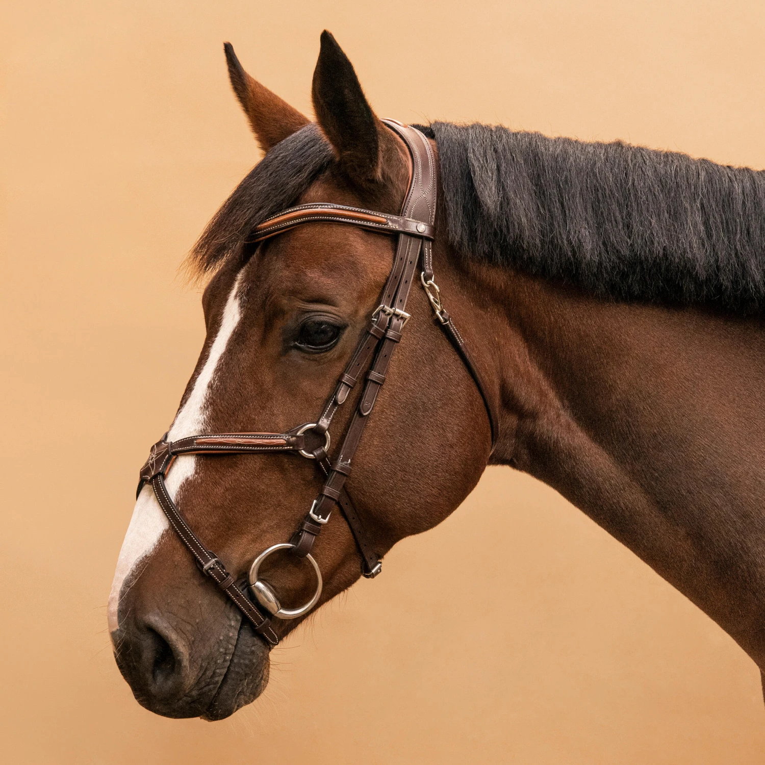 Horse Riding Crossed-Noseband Leather Bridle For Horse And Pony 580 9 Horse Riding Crossed-Noseband Leather Bridle For Horse And Pony 580 - Image 9