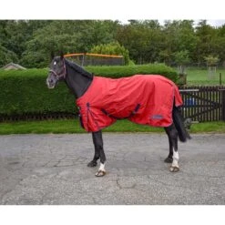 R189S Rastrick 0g Lightweight Horse Turnout Rug In Red -Weatherbeeta Sales Store kcf2e2ea92aa7789a935701408f518e0e