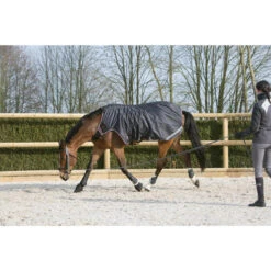 Refurbished Exercise Horse Riding Walker Rug For Horses 10 Refurbished Exercise Horse Riding Walker Rug For Horses -Weatherbeeta Sales Store kcf6e2b5fe9350072fa98977dbfa97102