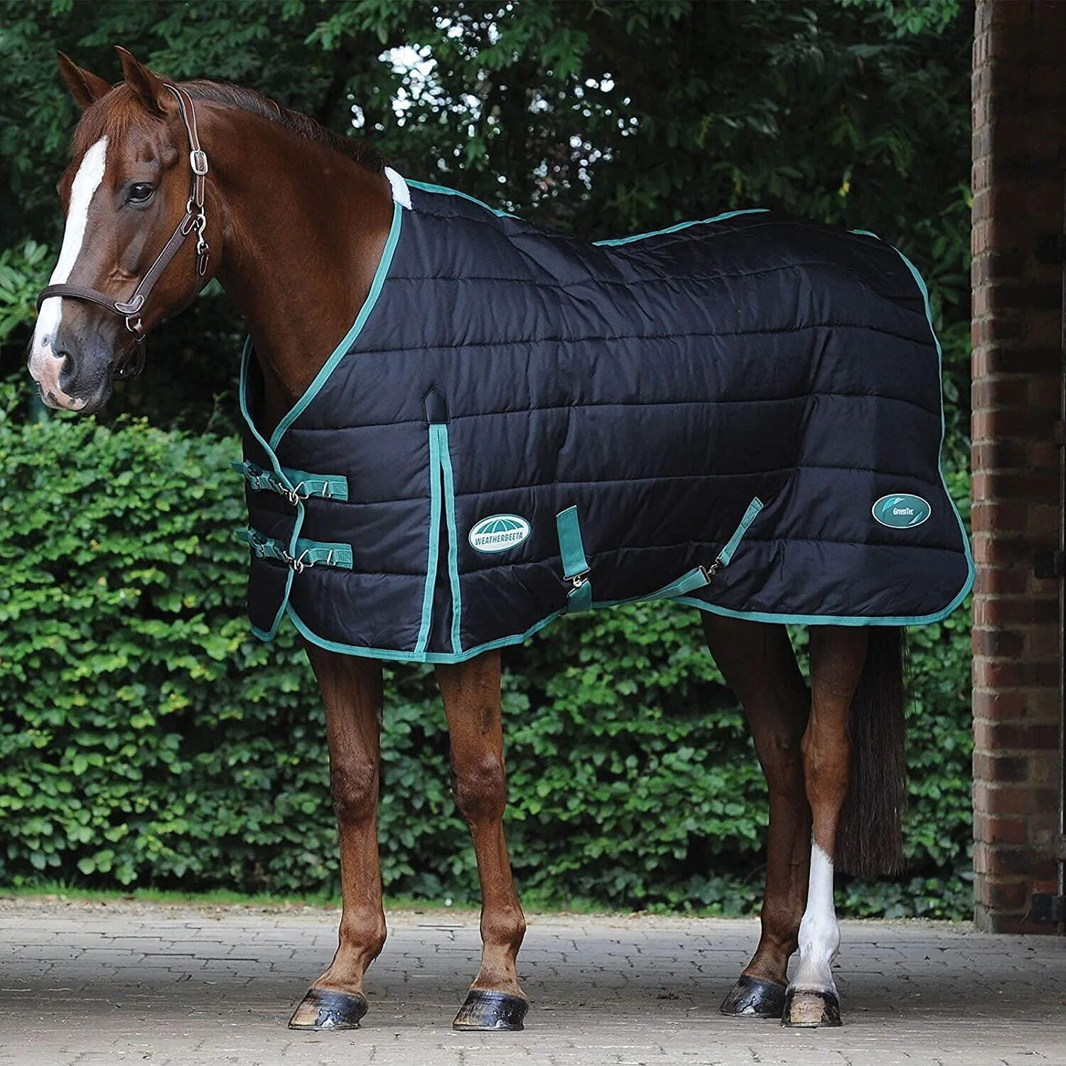Weatherbeeta GreenTec StandardNeck Horse Stable Rug (Black/Bottle Green) 2 Weatherbeeta GreenTec StandardNeck Horse Stable Rug (Black/Bottle Green) - Image 2