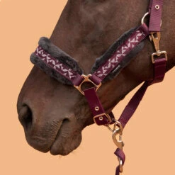Horse Riding Halter + Leadrope Kit For Horse & Pony Comfort -Weatherbeeta Sales Store kd33012153e5d2b43303b840a5e0a0ead