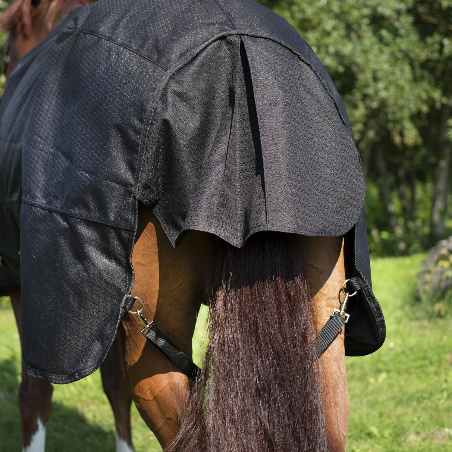 Waterproof Horse Rug 1000D Allweather 50 5 Waterproof Horse Rug 1000D Allweather 50 - Image 5