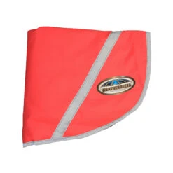 Weatherbeeta 300d Reflective Exercise Sheet (Orange) -Weatherbeeta Sales Store kd49e9fcdc90a87a86706c4ce73f58e83