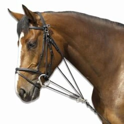 Horse Riding Schooling Gogue For Pony 22 Horse Riding Schooling Gogue For Pony -Weatherbeeta Sales Store kd55f52b7e71f644fe43ece10e5c9f22b