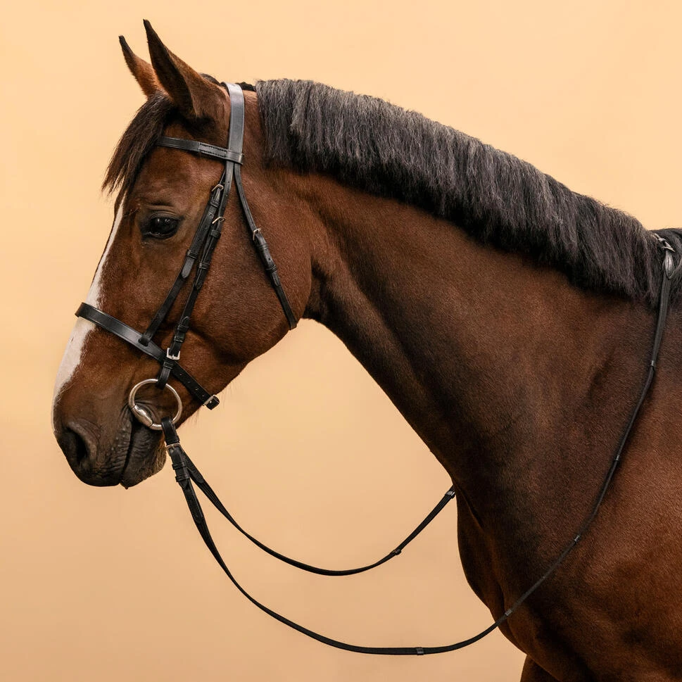 Refurbished Horse Riding Leather Bridle - Black - CS 1 Refurbished Horse Riding Leather Bridle - Black - CS