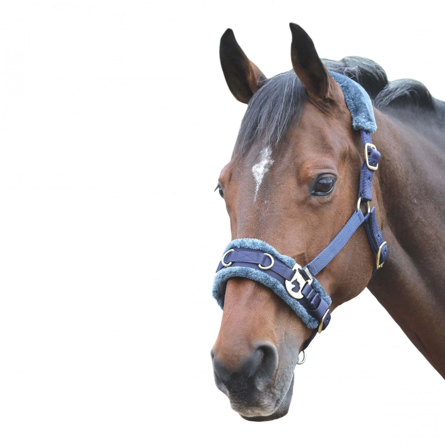 Fleece Lined Plush Horse Lunge Cavesson (Navy) 1 Fleece Lined Plush Horse Lunge Cavesson (Navy)