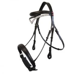 Lynton Snaffle Bridle With X2 Browbands -Weatherbeeta Sales Store kda1def9d68d8d0cef64f8c289be68aa7