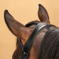 Horse Riding Glossy Leather Bridle With French Noseband For Horse & Pony 580 -Weatherbeeta Sales Store kdadcc8e1067f3a913bfe97e0f9eba293