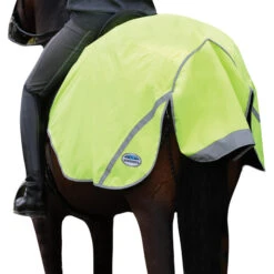 Weatherbeeta 300d Reflective Exercise Sheet (Orange) -Weatherbeeta Sales Store kdb140790b188c811d66837cd70a43958