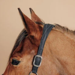 Horse Riding Synthetic Leather Halter For Horse & Pony 500 -Weatherbeeta Sales Store kdd873bd1e9075f2f6c17a62b3be142e5