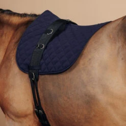 Horse Riding Horse Or Pony Lunging Roller